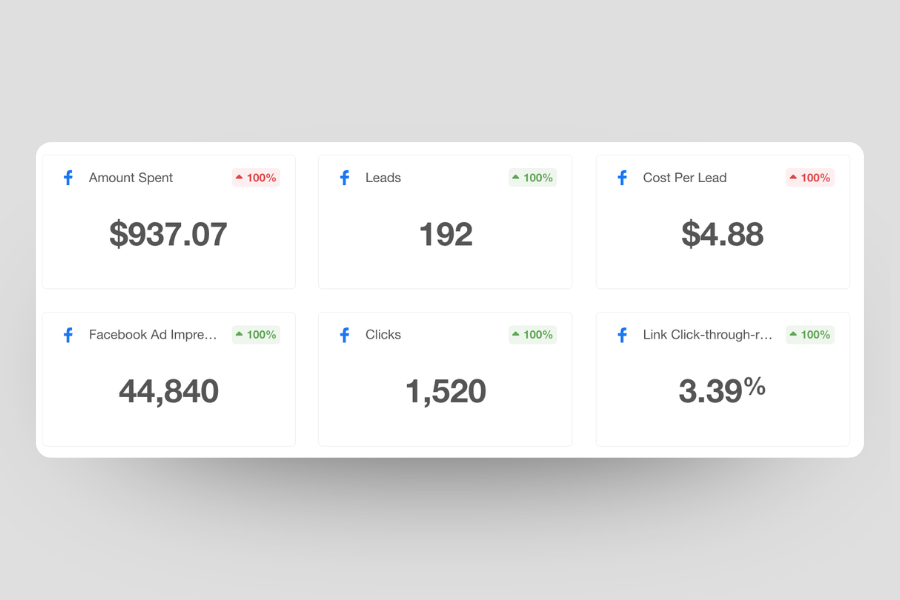 Meta Ads campaign management by Halcyon Agency Sydney