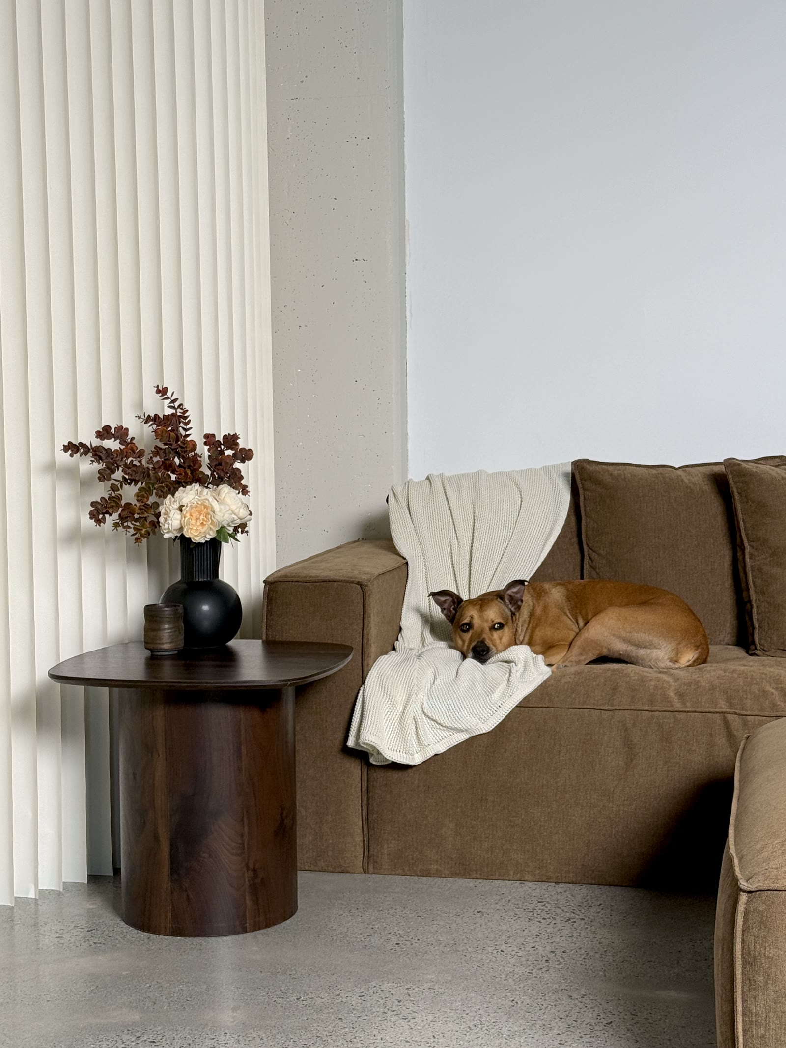 Camera and lighting rig at Halcyon professional content studio